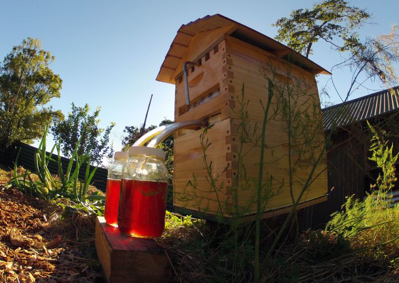 Indiegogo’s New Crowdfunding Record: $5.3M And Counting For A Smart Beekeeping System