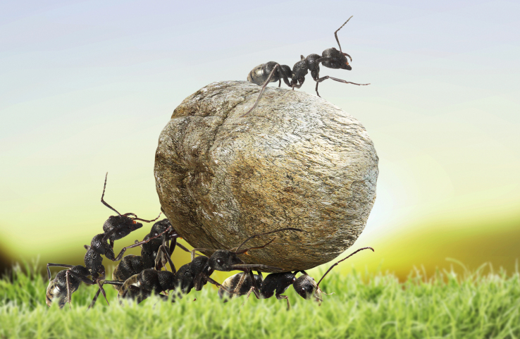 Alibaba Affiliate Ant Financial Confirms Series A Funding At $45-$50B Valuation