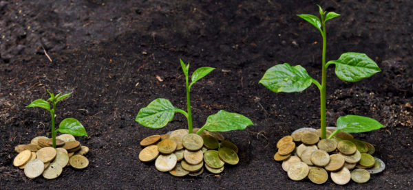 SeedPlus raises over $18m for its first seed-stage fund