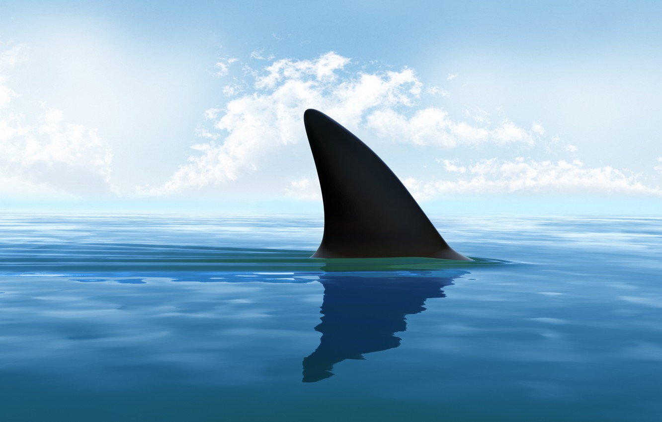 New Challenges, Competitive Threats Sharking Financial Waters
