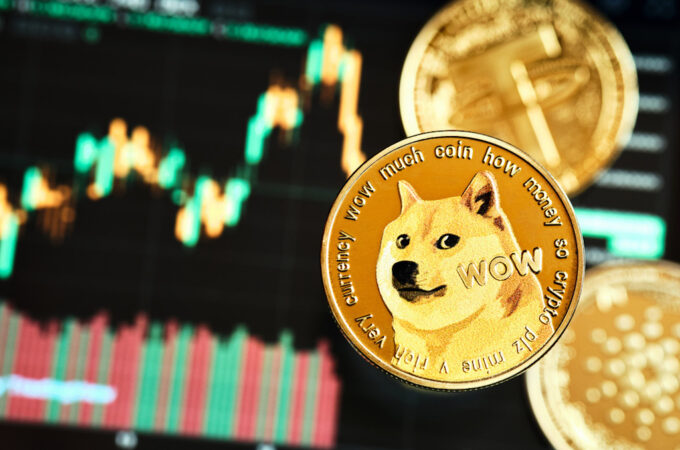 Dogecoin For Newbie Investors: How Does It Differ From Other Cryptocurrencies?